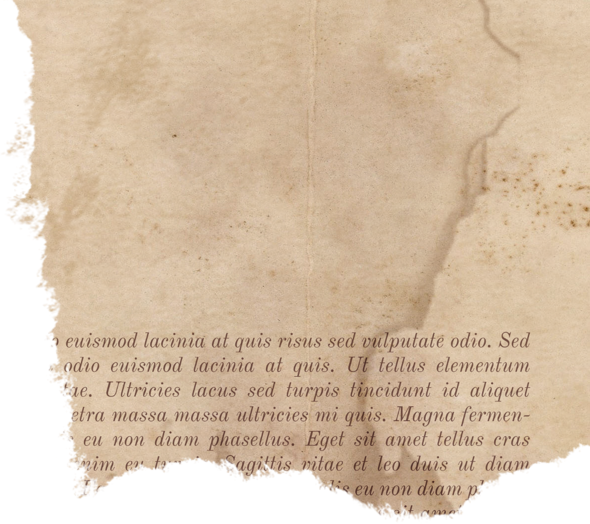Old Torn Book Page