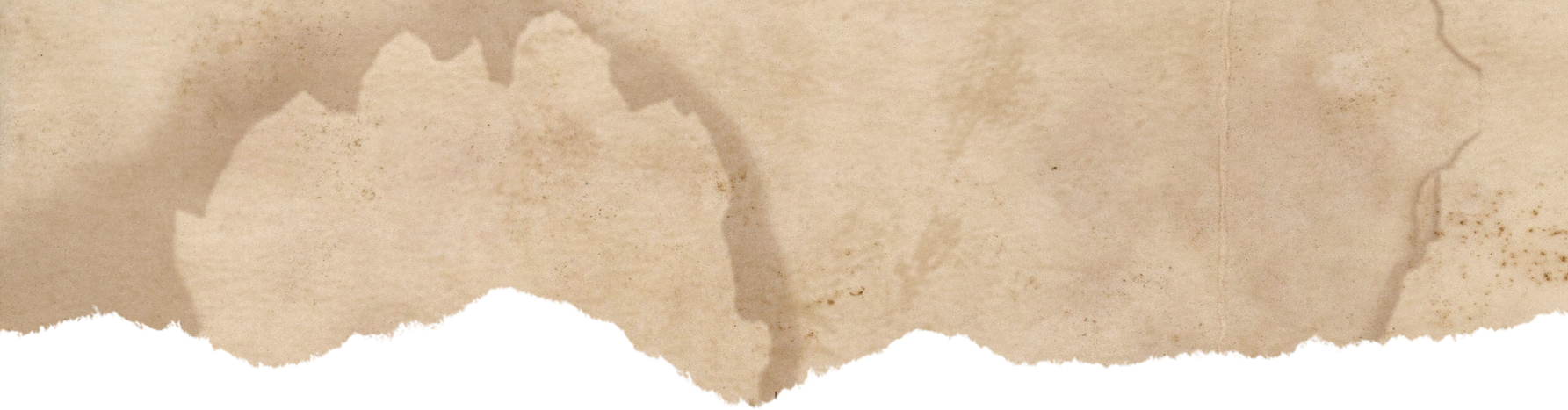 Old Torn Book Page